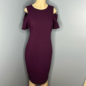 Calvin Klein women’s dress plum purple size 8 midi
